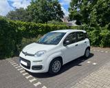 Fiat Panda KLIMA -5 Sitzer - Fiat Panda in Düsseldorf
