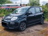Fiat Panda 1.0 GSE Hybrid Klima 6 Gang 5 Sitzer - Fiat Panda: Sitzer
