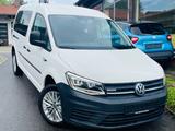 Volkswagen Caddy Nfz Maxi Kombi BMT 4Motion - Volkswagen Caddy Maxi: 4motion