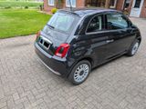 Fiat 500 1.2 8V Lounge Lounge - Fiat 500: Privatanbieter