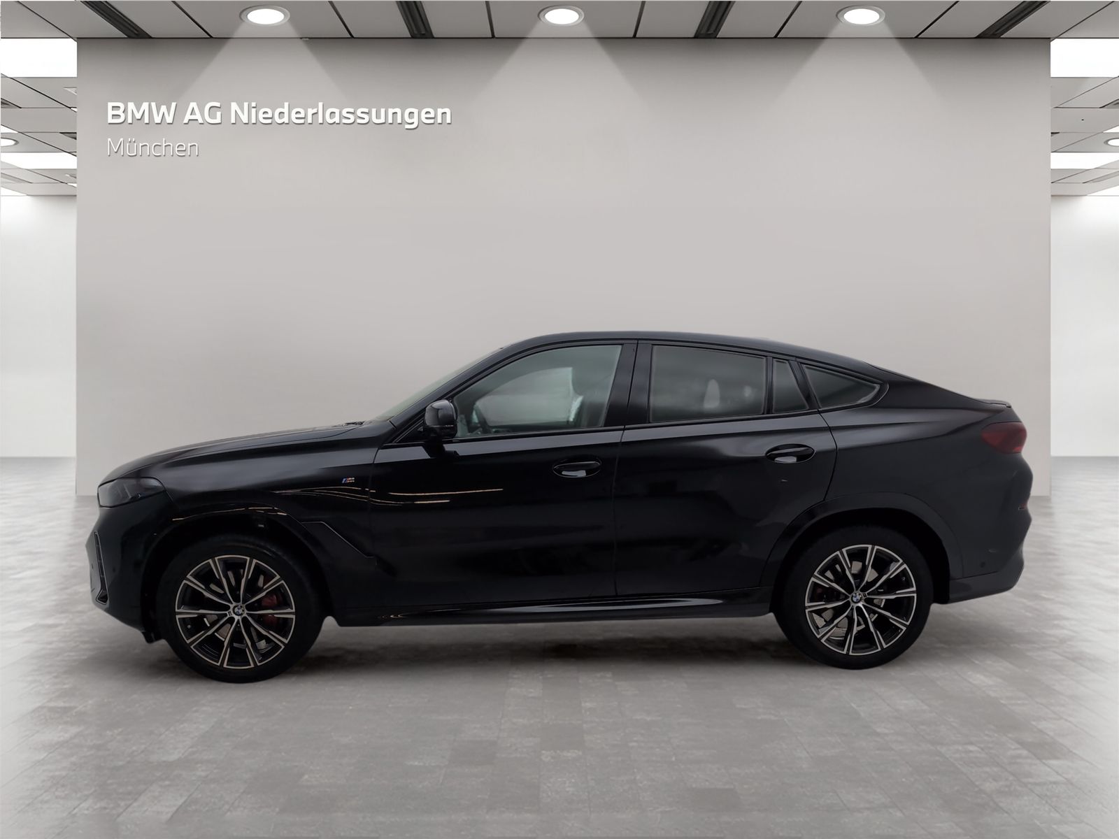 BMW X6 xDrive30d M Sport Standheizung AHK Harman K foto 2