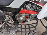 Yamaha Raptor  - YAMAHA QUAD