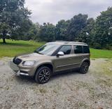 Skoda Yeti 2.0 TDI DSG 4x4 Adventure Adventure - Skoda Yeti: Allradantrieb, Dsg