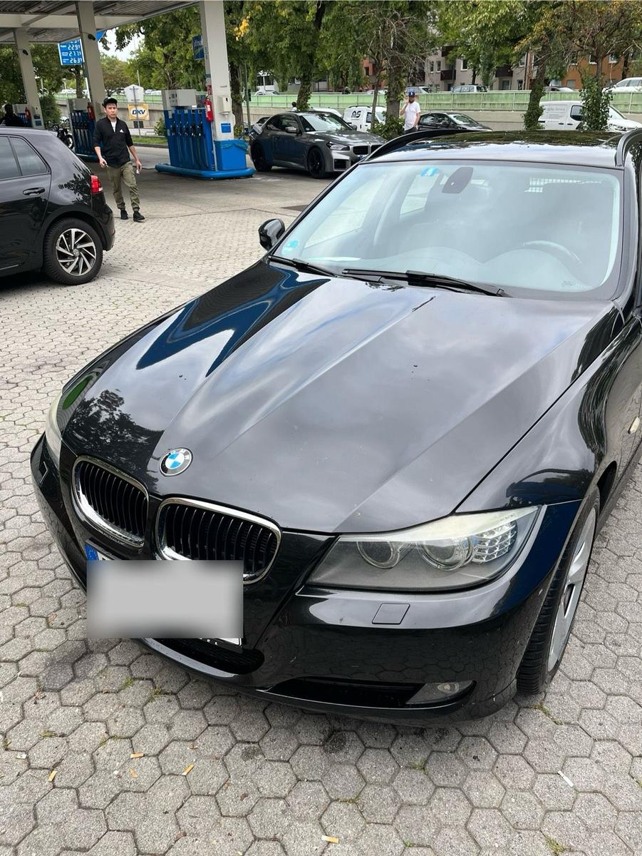 BMW 318 2010 — rear view