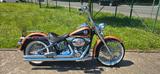 Harley-Davidson Softail Deluxe 105 Anniversary Mexican - HARLEY-DAVIDSON 2008 SOFTAIL