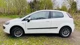 Fiat Punto Evo MyLife Mit Neue TÜV - Fiat Punto Evo aus 2011