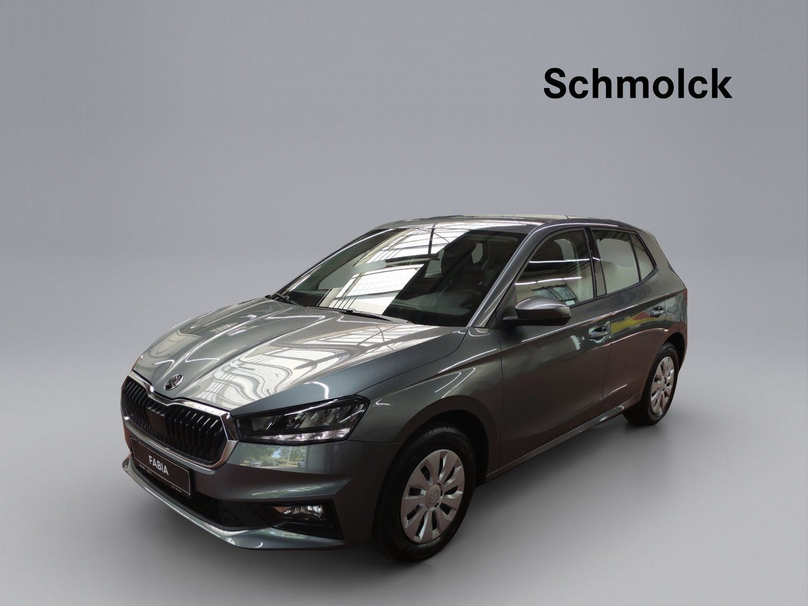 Skoda Fabia Essence 1.0 MPI 80 PS LED DAB PDC SHZ