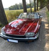 Jaguar XJS - Jaguar aus 1993