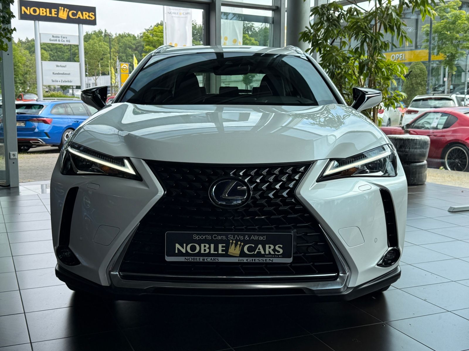 Fahrzeugabbildung Lexus UX 250 h Launch Edition LED NAV RFK SHZ ALU