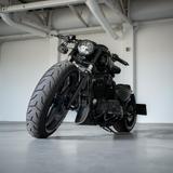 Harley-Davidson Sportster 48 Ricks Einzelstück - SPORTSTER