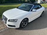 Audi S5 3.0 TFSI S tronic quattro Cabriolet - - gebrauchte Audi S5 aus dem Jahr 2010