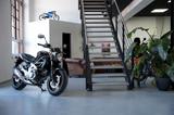 Suzuki SFV 650 Gladius | TOP Zustand | Erst 5014 km | - Angebote