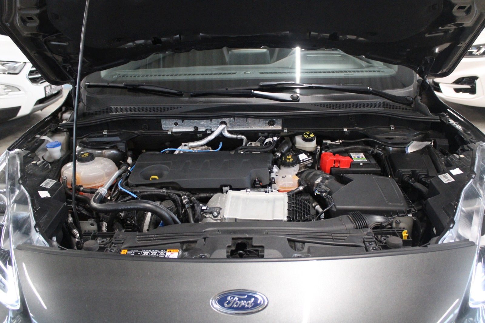 Fahrzeugabbildung Ford Kuga ST-Line X LED AHK Winter Technologie Paket