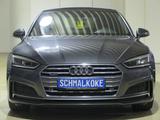 Audi A5 Sportback 50 TDI3.0V6 SCR quattro tip sport - Audi A5: Kombi, TDI