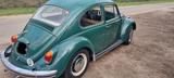 Volkswagen Käfer Baujahr 68 -Originallack  - Volkswagen Käfer: Grün