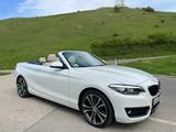 BMW 230i Steptronic Cabrio Sport Line Sport Line