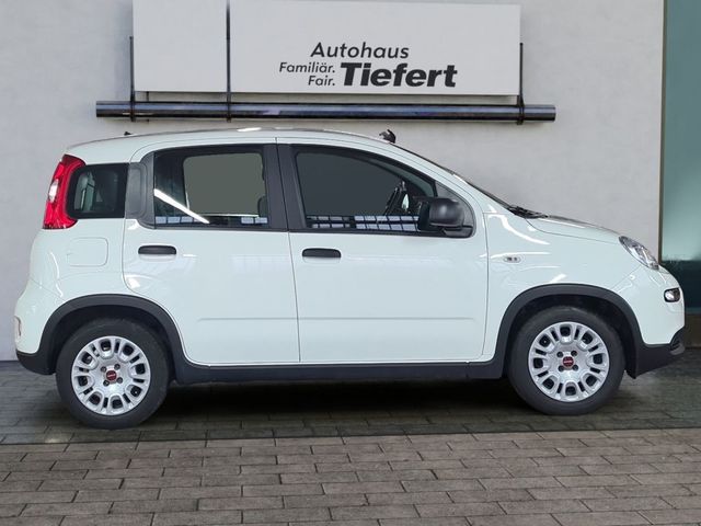 Panda 1.0 GSE Hybrid City Plus (312)