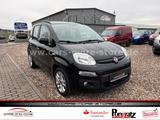 Fiat Panda Lounge/Standheizung/Klima/52Tkm/PDC/gepfl. - Fiat Panda aus 2012