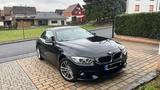 BMW 420i Cabrio M Sport - Scheckheft gepflegt - UF! - BMW 420: Cabrio