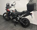 Triumph Tiger 900 Rally Pro ash grey - Triumph Tiger 900 Rally Pro