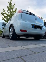 Fiat Punto 1.2 8V - - gebrauchte Fiat Punto aus dem Jahr 2017