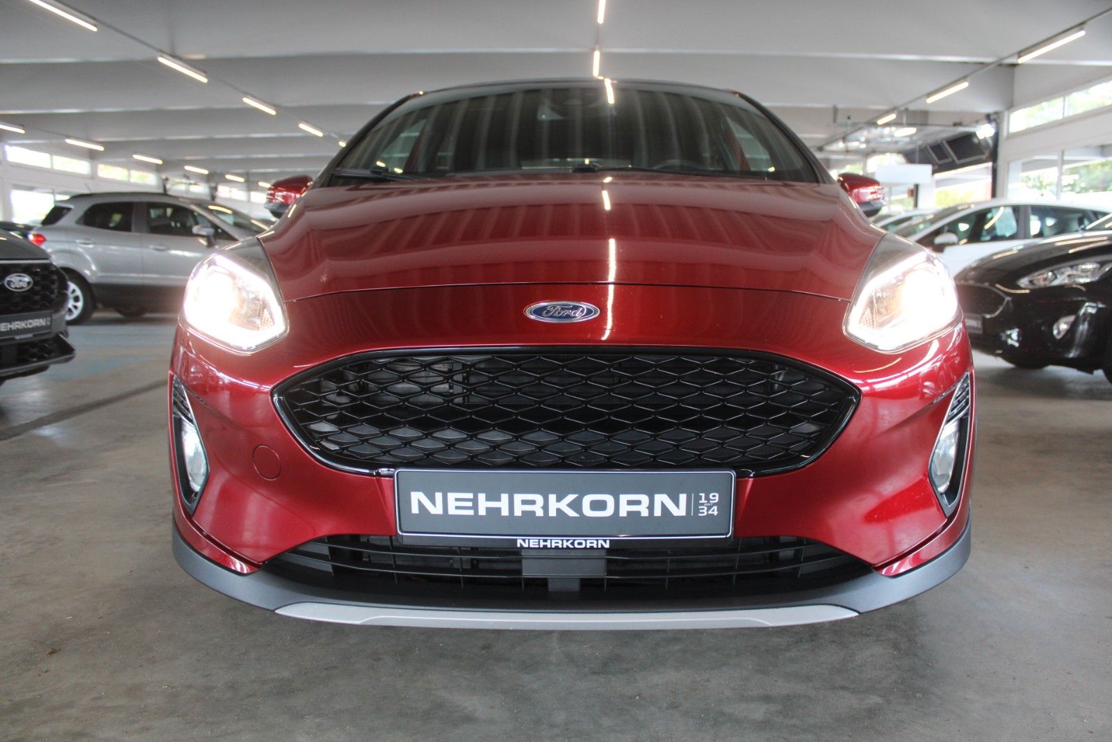 Fahrzeugabbildung Ford Fiesta ACTIVE PLUS 5T NAVI PANO B&O ACC WinterP