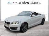 BMW 220d CABRIO SPORT LINE AUT NAVI PROF LEDER ALARM - gebrauchte Cabrios in Gießen