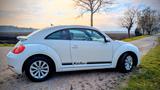 Volkswagen Beetle Käfer - weiße Volkswagen Käfer