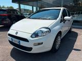 Fiat Punto 1.2 8V 5 porte Street - Fiat Punto: Street