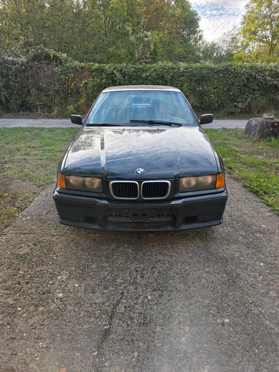 BMW 318