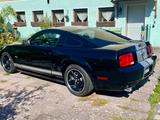 Ford Mustang Shelby GT - gebrauchte Ford Mustang aus dem Jahr 2007