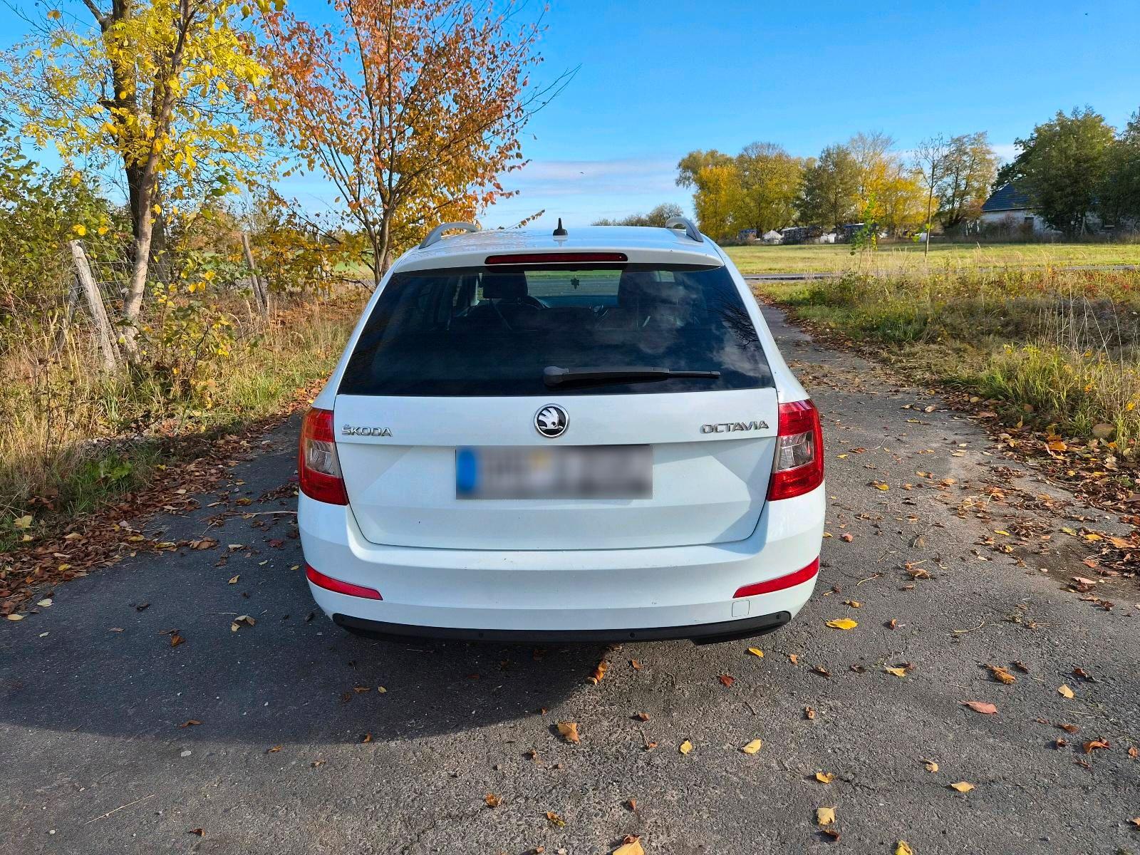 Skoda Octavia 2015 — фото 5