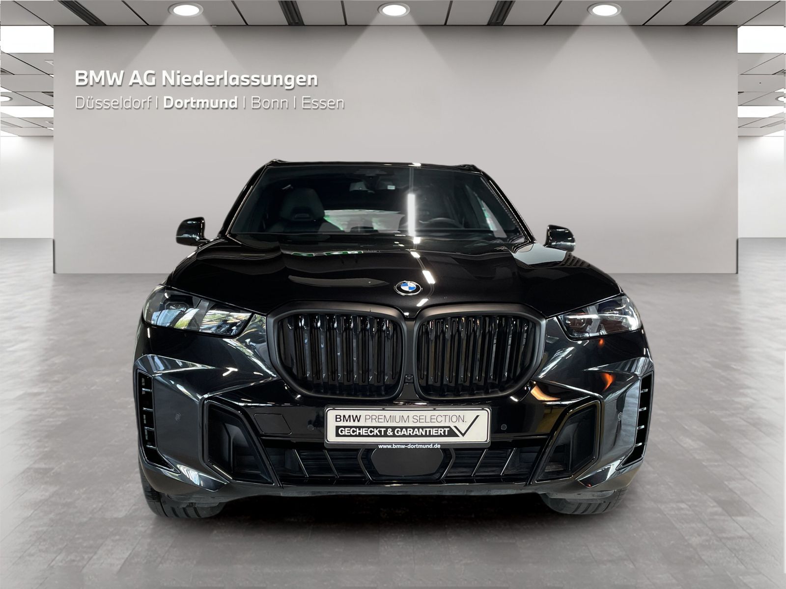 BMW X5 xDrive40d M Sport AHK Driv.Assist.Prof LED foto 5
