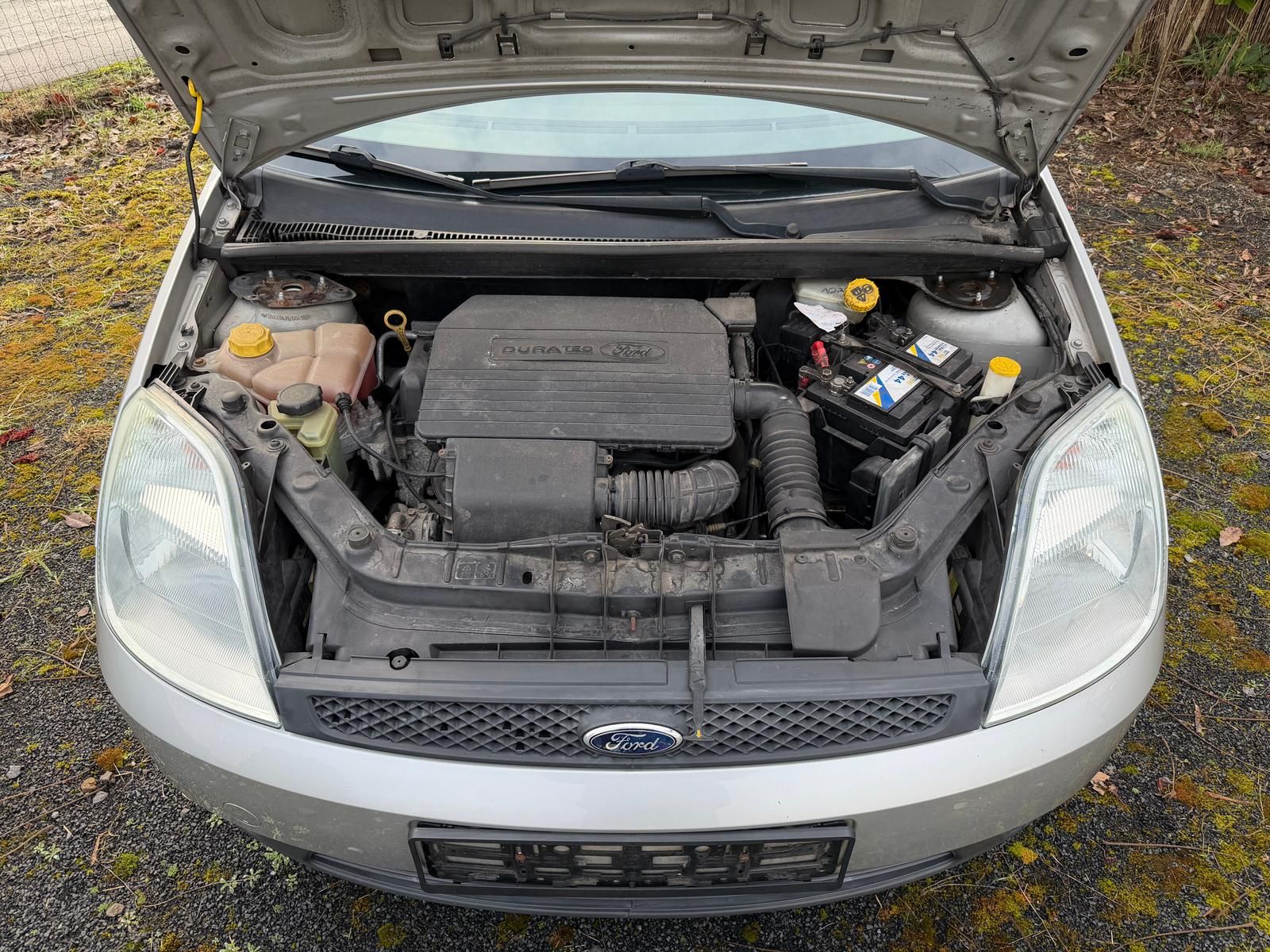 Fahrzeugabbildung Ford FIESTA AMBIENTE 1.3*TÜV NEU*AHK*KLIMA*8-FACH*