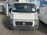 Fiat Ducato Pritsche 33 100 - Fiat Ducato: Pritsche