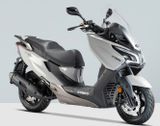 Kymco X-Town CT 125i CBS Aktionsfahrzeug - KYMCO X TOWN 125 CBS