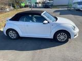 Volkswagen VW Beetle Cabrio Allstar 2.0 1.Hand TOP!!! VB - Volkswagen Beetle in Wuppertal