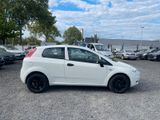 Fiat Grande Punto 1.2 8V Basis/ TÜV UND AU NEU - Fiat Grande Punto: Weiß