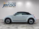 Volkswagen Beetle Cabriolet Cup Xenon/Klimaaut./Sitzh. - Volkswagen Beetle: Weiß