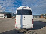 Mercedes-Benz Sprinter 516 CDI  - Mercedes-Benz Sprinter aus 2010: Van