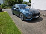 Skoda Oktavia RS Diesel - Skoda mit Diesel-Antrieb: Oktavia