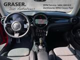 MINI Cooper SE 3-Türer DAB LED Navi Shz - MINI Cooper SE Gebrauchtwagen