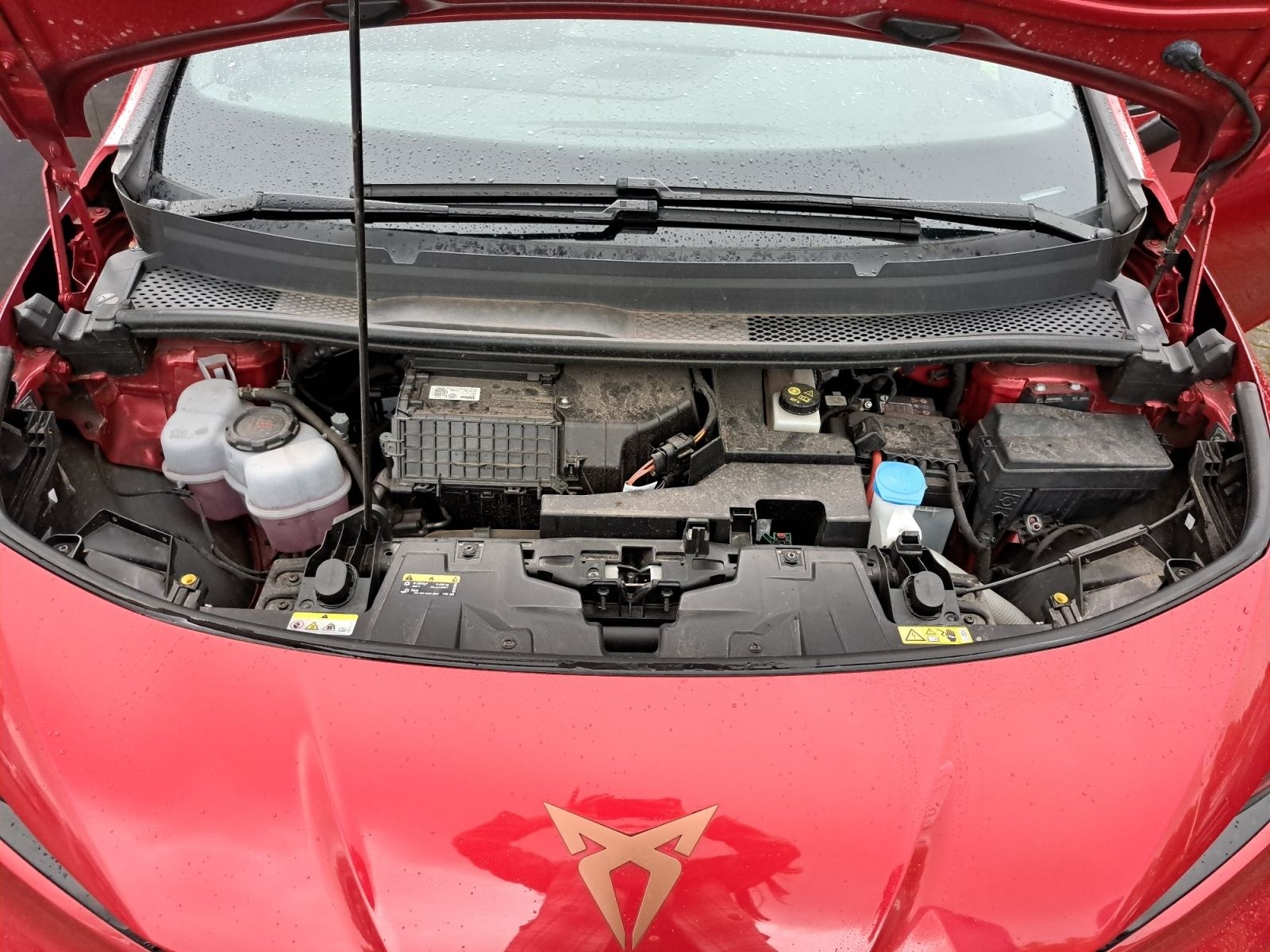 Cupra Born - Bild 22