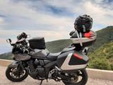 Suzuki GSF 1250 Bandit - SUZUKI BANDIT