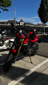 Ducati Monster SP - Offers