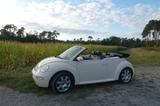 Volkswagen New Beetle Cabrio/Roadster - Volkswagen Beetle: New