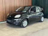 Fiat Panda Pop - Fiat Panda: Pop