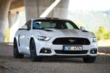 Ford Mustang 5.0 Ti-VCT V8 Black Shadow Edition A... - Ford Mustang: Edition
