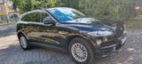 Jaguar F-Pace 30d AWD First Edition Automatik First... - Jaguar F-Pace: First Edition