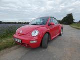 Volkswagen New Beetle 1.9TDI Cabriolet Standard - Volkswagen New Beetle: Standard